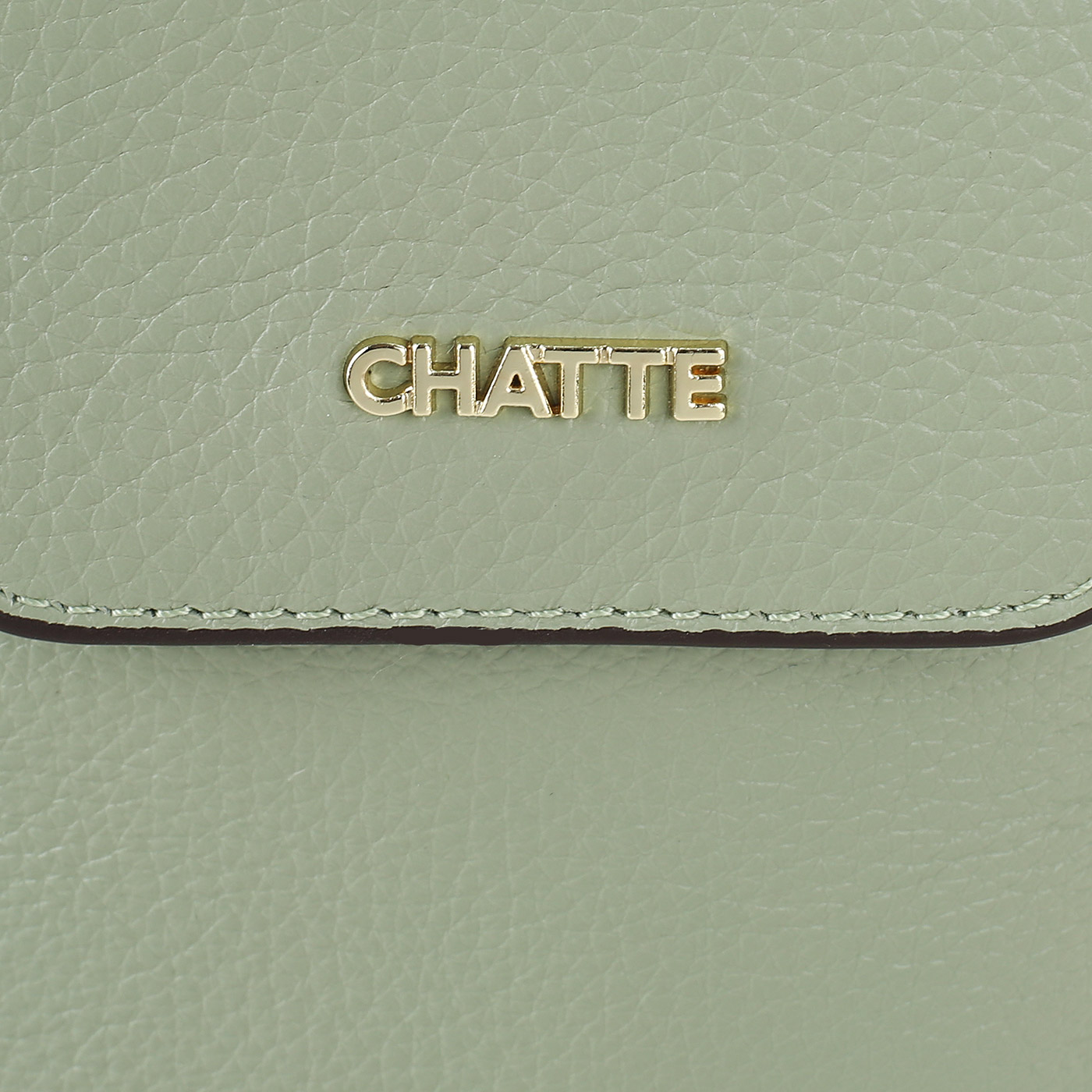 Вертикальная кожаная сумка Chatte Lille